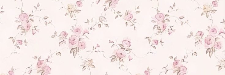🎀 banner