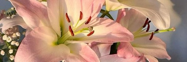 architaech Profile Banner