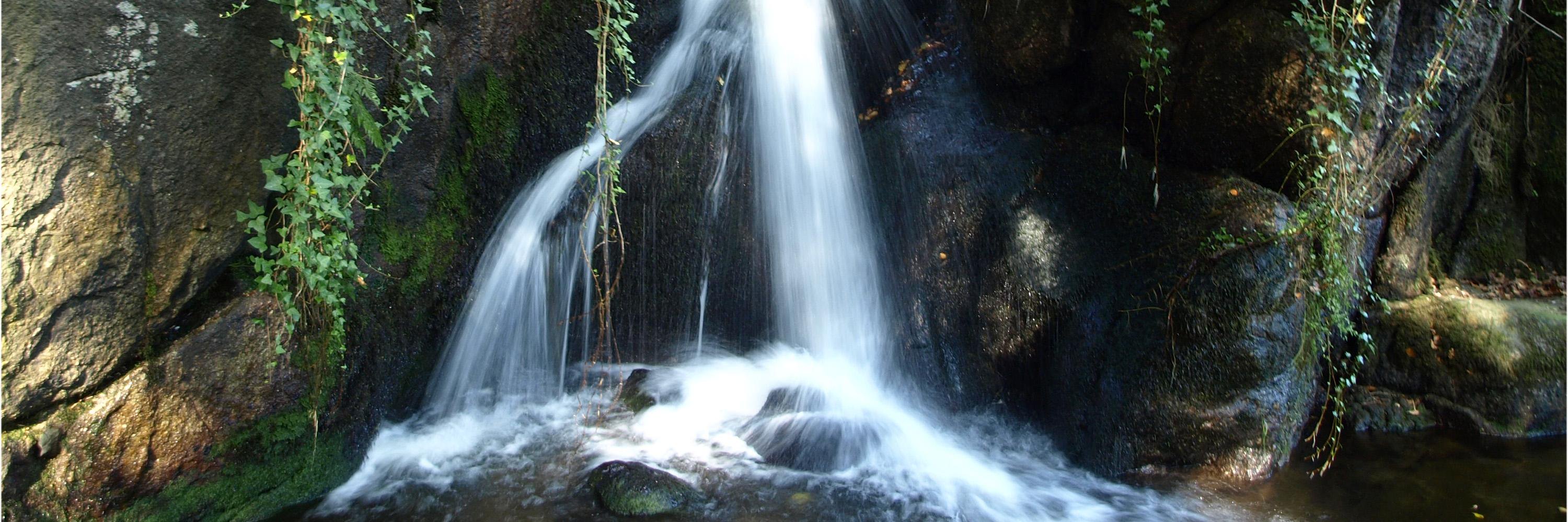 Chousa da Alcandra🌿 banner