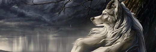 lilbro banner