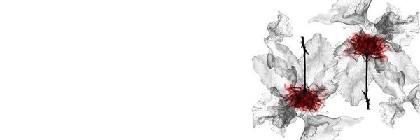 wstkat Profile Banner