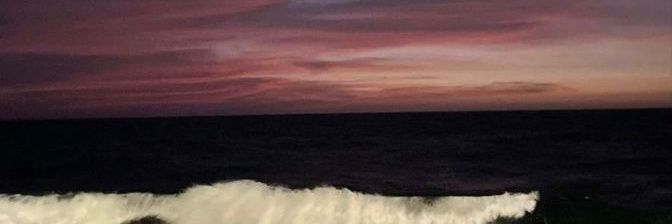 nicxlepp's profile banner image