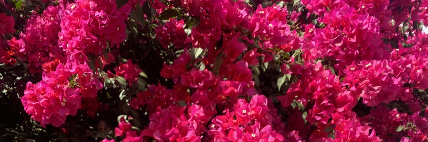 Ą banner