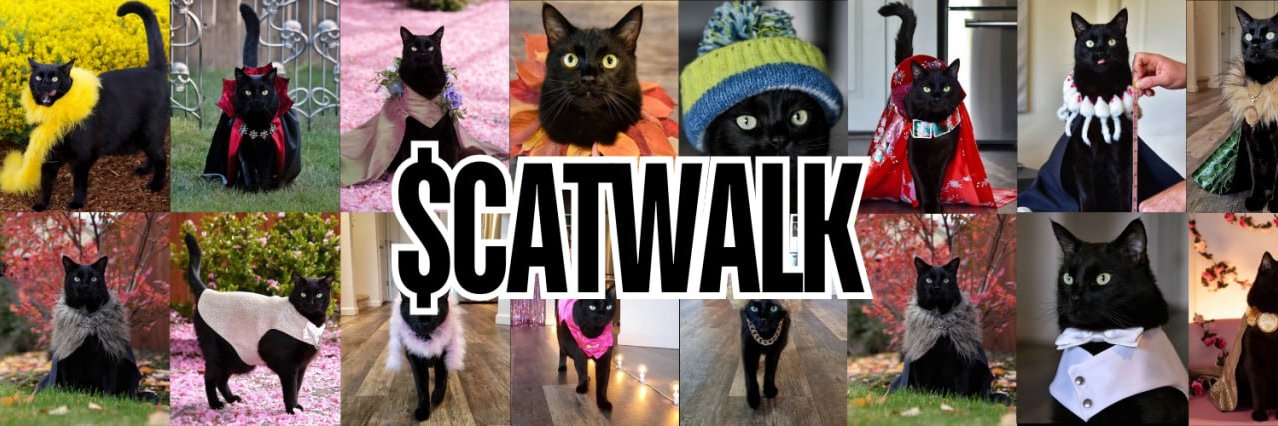 catwalk_solana's profile banner image