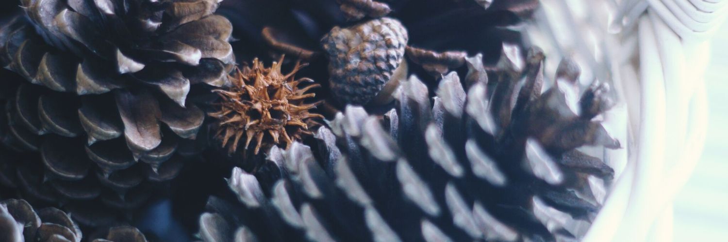 TheFlyyGirll's profile banner image