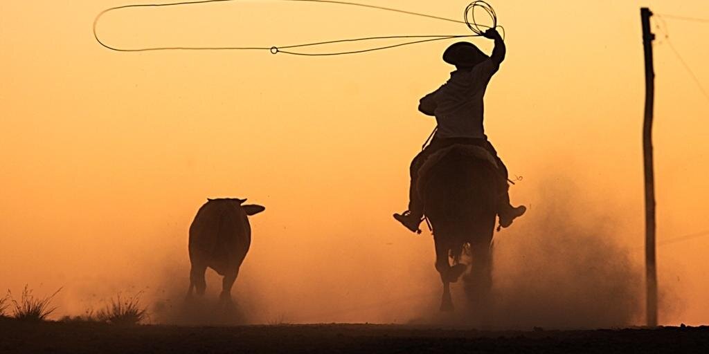 terragaucha's profile banner image