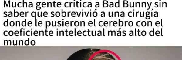 Mamalthetical Profile Banner