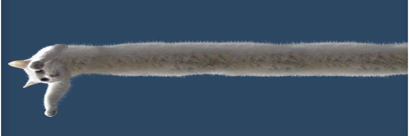Triplicat's profile banner image