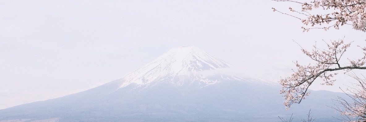 Jenevieve Narbay banner