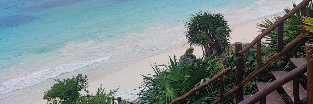 d_lejandra's profile banner image