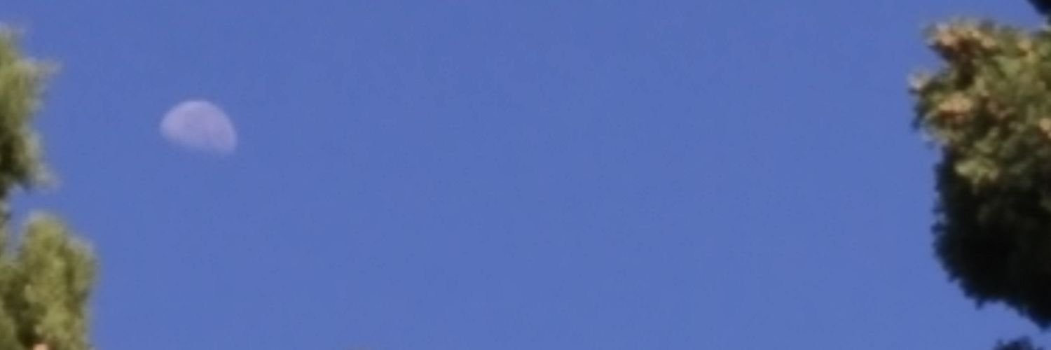 Silvitta321's profile banner image