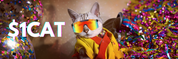 1CAT banner