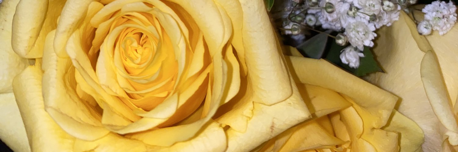 datbitcherin's profile banner image