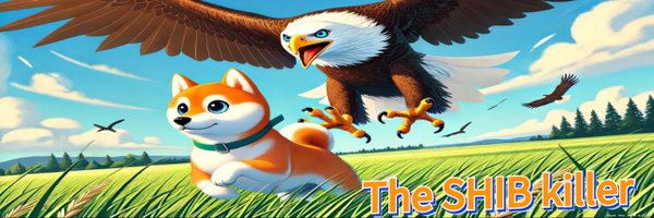 Hawk_killshib Profile Banner