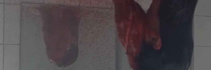 sos banner
