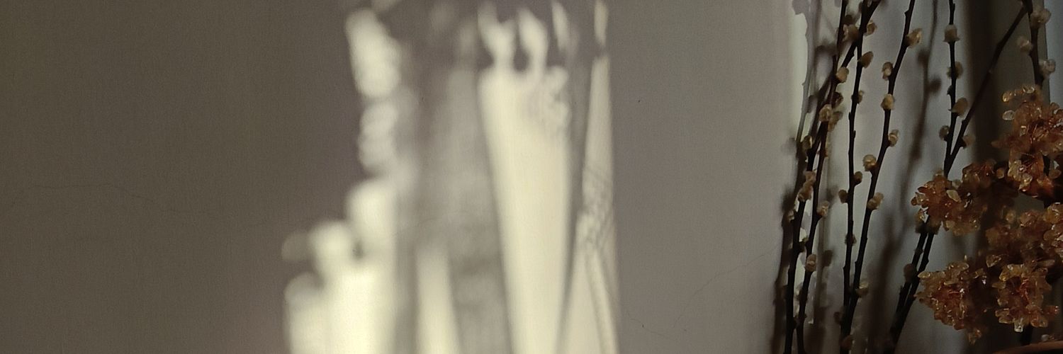bee✨'s banner