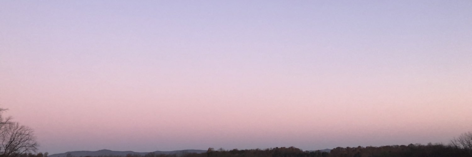 MaddieMouse's profile banner image