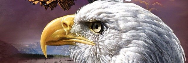schuffman7's profile banner image