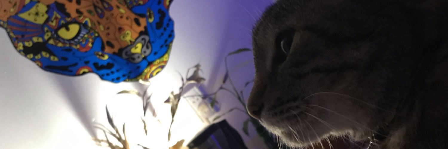 DannRockk's profile banner image