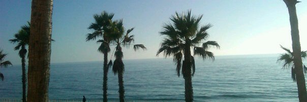 Carlsbad Patch banner