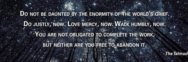 Patti Mulligan🌻 banner