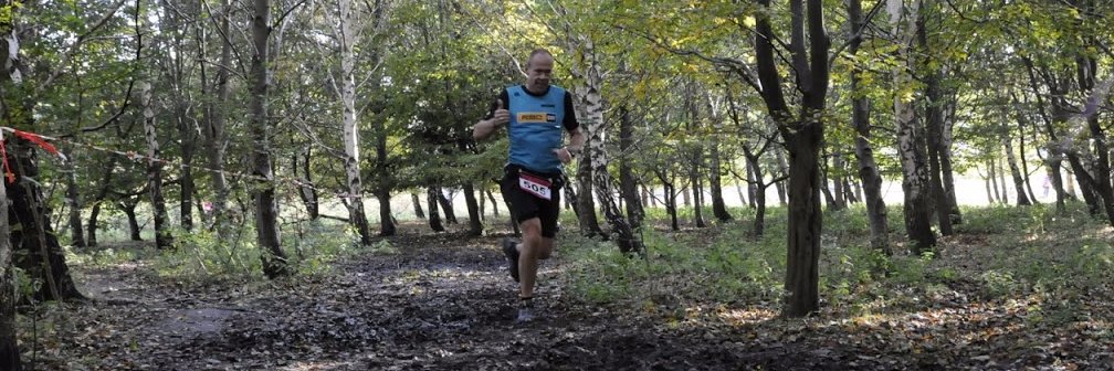 Ronald te Lindert banner