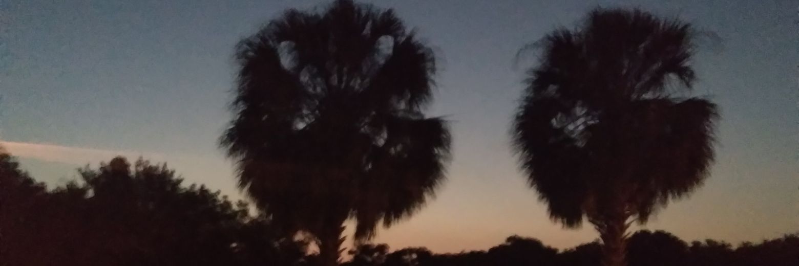 William sullivan banner