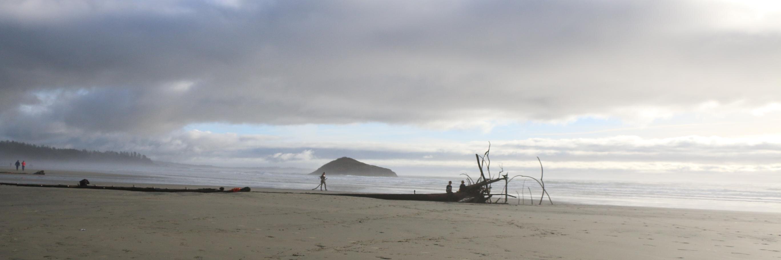 mehlerpaperny.bsky.social banner