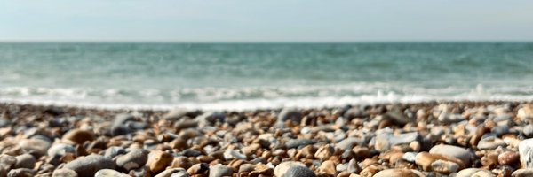 SeafordReview Profile Banner
