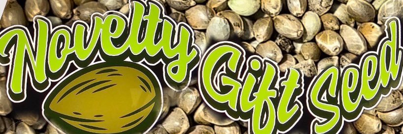 Novelty Gift Seed🌱's banner