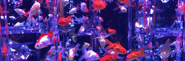 vvlimee Profile Banner