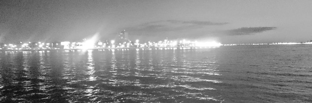 hector de baets banner