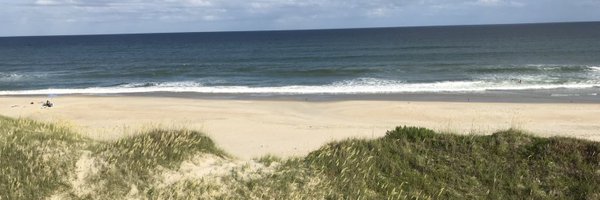 RobinReedVT Profile Banner