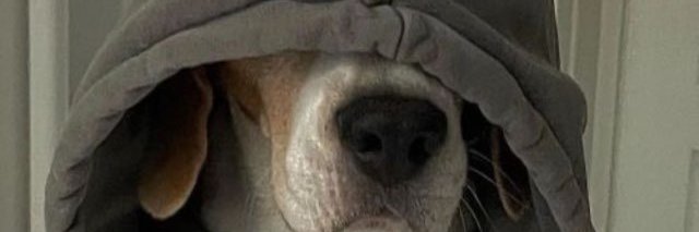 unfocused dude banner