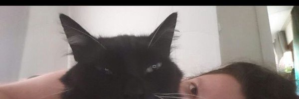 timelinemerger Profile Banner