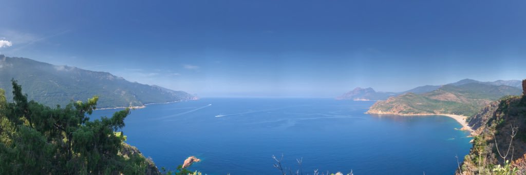 doctorste's profile banner image