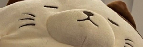 dartMnK Profile Banner