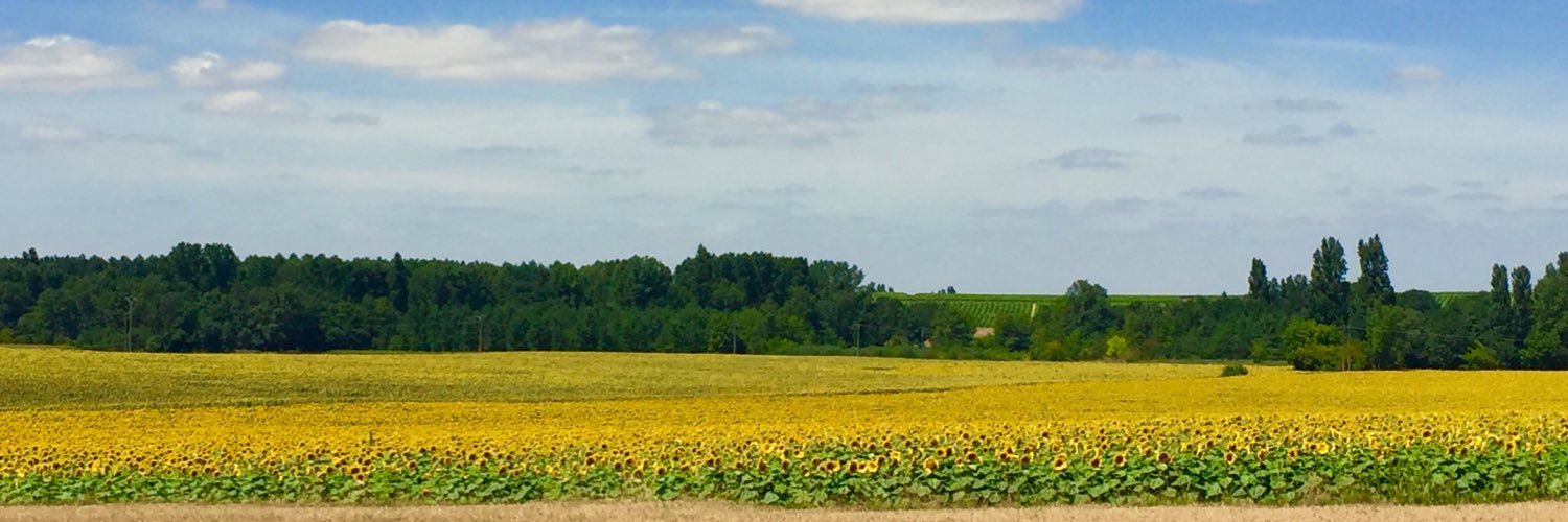 Alec Malmberg banner