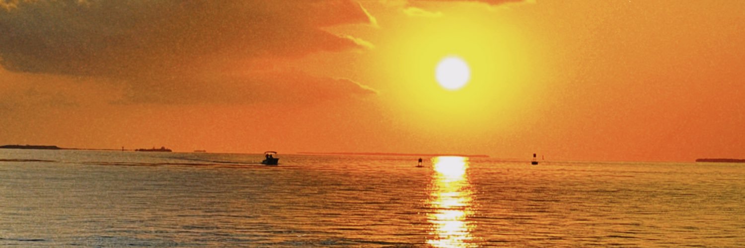 vickoaf's profile banner image