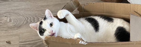 peterwright Profile Banner