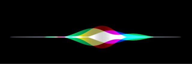 Alex Guest banner