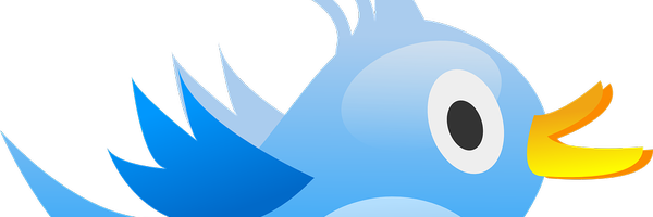 SingingInDCloud Profile Banner