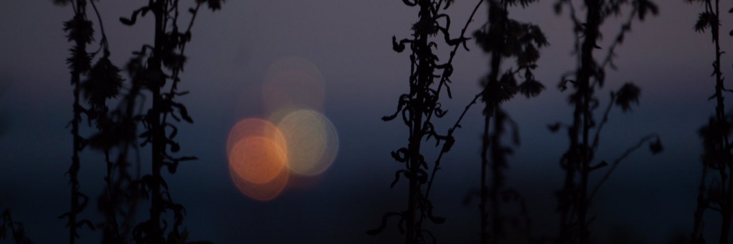 NacyMisa's profile banner image