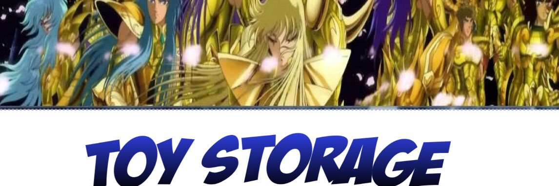 ToyStoragePeru's profile banner image