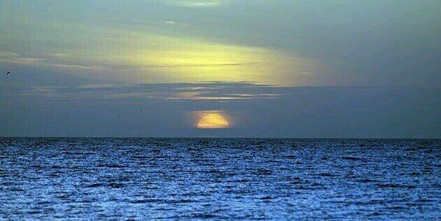 George R White banner