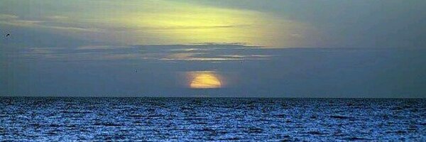 georgewhite Profile Banner