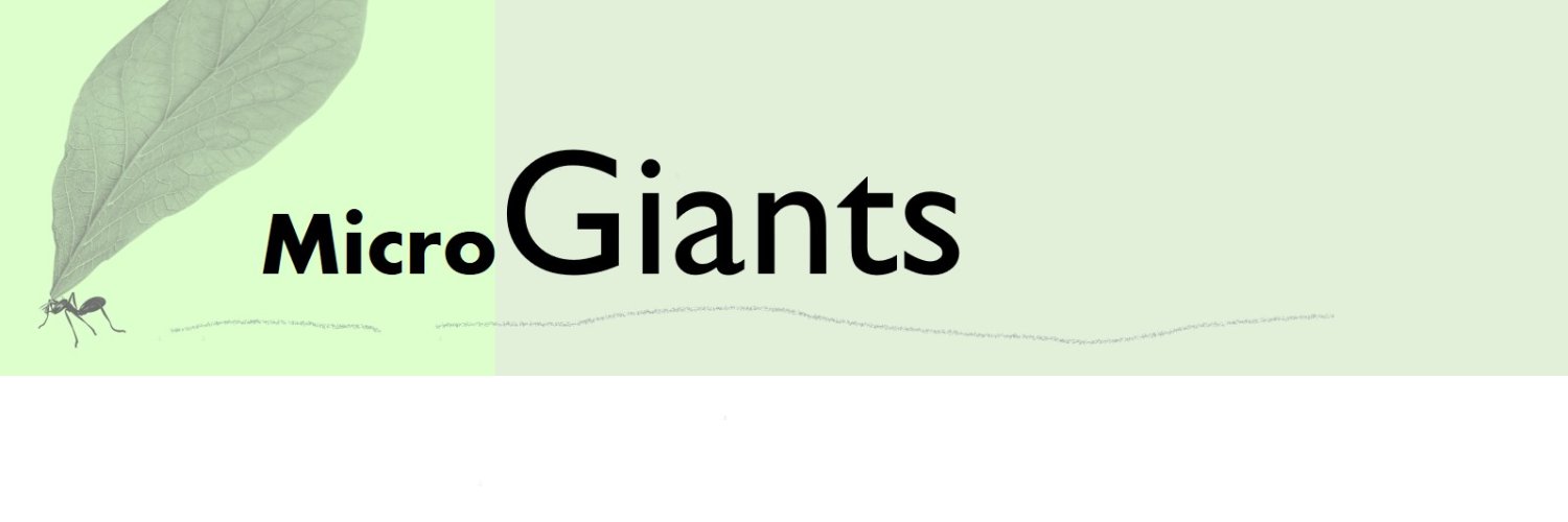 RonBurgess's profile banner image