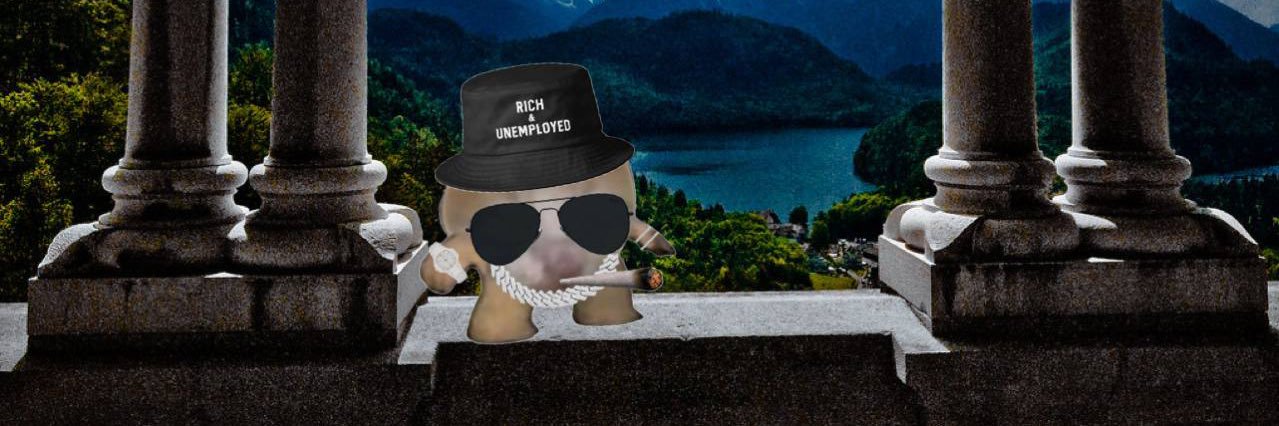 Budster 🍌😼🍎's banner