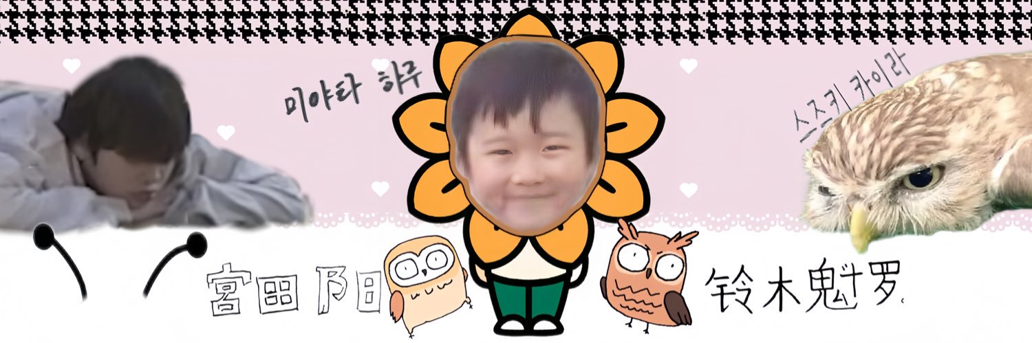 kairuuu🦉🌻 banner