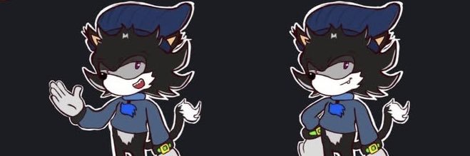 blackwitch banner